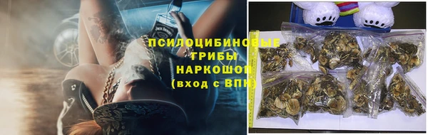 герыч Алексин