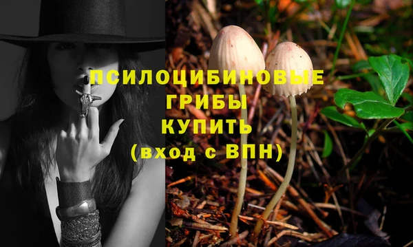 стафф Алексеевка