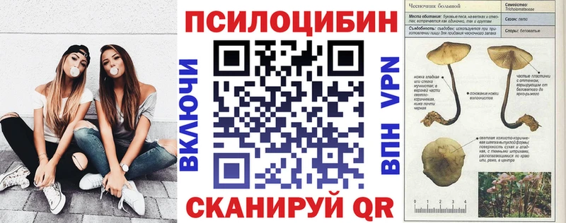 Галлюциногенные грибы Cubensis  Купить закладки  Санкт-Петербург 